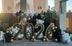 2026 Number Display Set