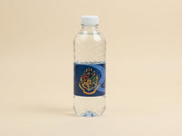 Harry Potter Water Bottle