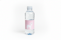 Unicorn Princess Water Bottle