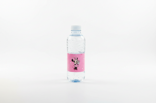 Minnie Mouse Water Bottle