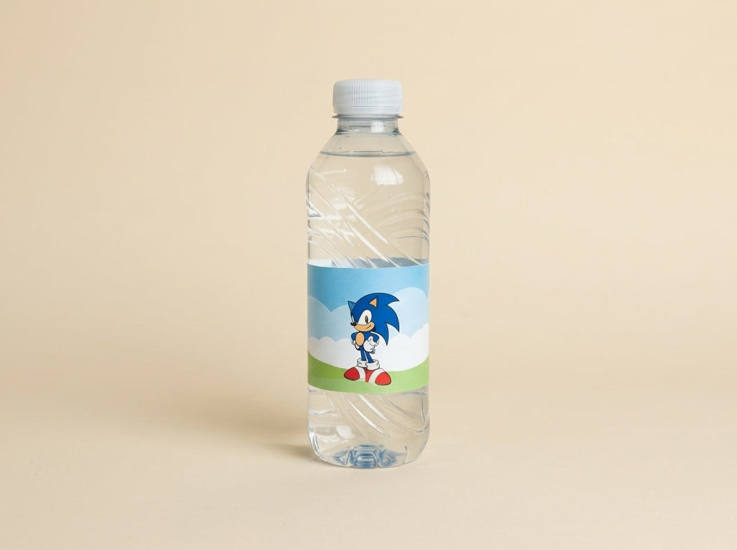 Sonic & Friends  Water Bottle
